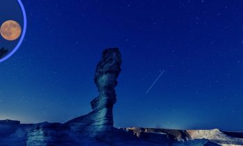 Excursions nocturnes en milieu naturel : une étude de cas en Israël